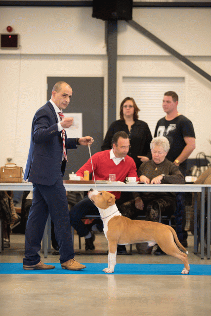 Bo4I0425 31198130812 O