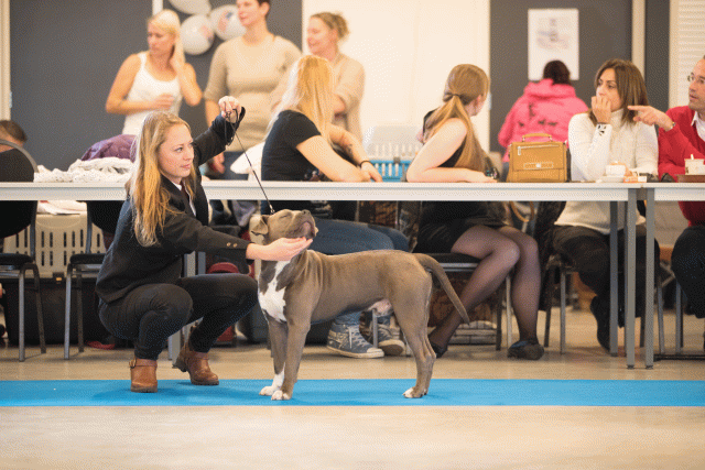 Bo4I0426 30534604233 O