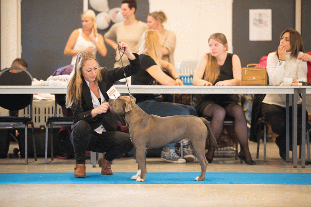 Bo4I0427 30519816084 O