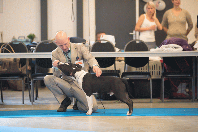 Bo4I0428 31198130142 O