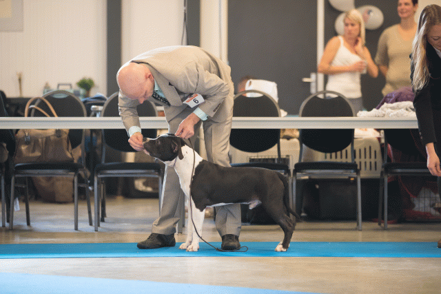 Bo4I0429 30519815254 O