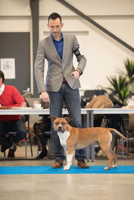 Bo4I0430 31198129832 O