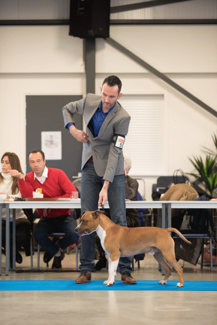 Bo4I0431 30534603183 O