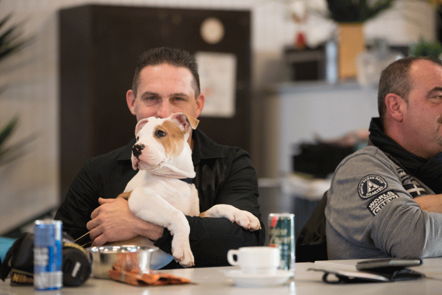 Bo4I0436 31198128842 O