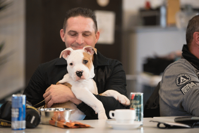 Bo4I0438 30519811964 O