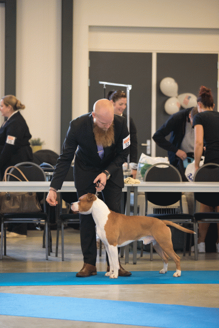 Bo4I0439 30534601753 O