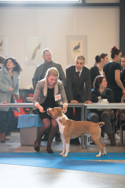 Bo4I0440 31342281345 O