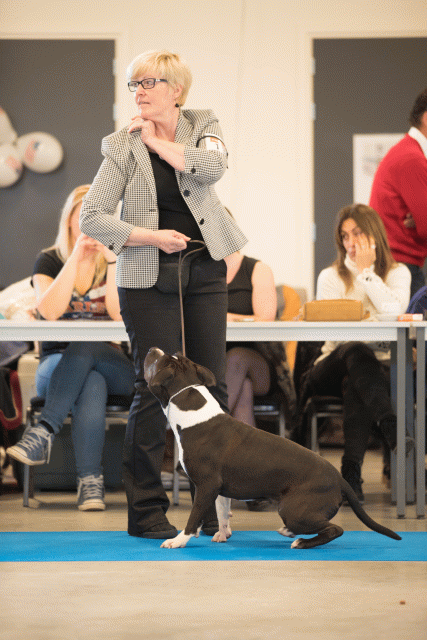 Bo4I0441 30534601503 O