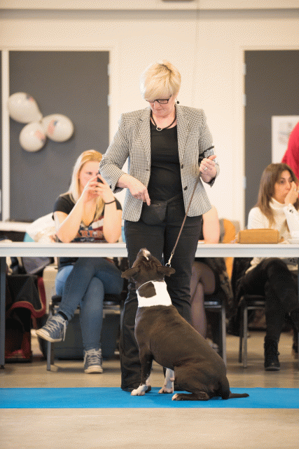 Bo4I0442 31342280795 O