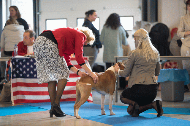 Bo4I0443 30534601203 O