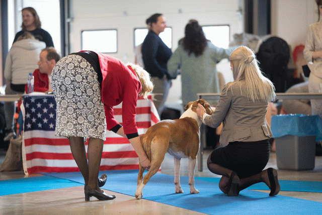 Bo4I0444 30534601083 O