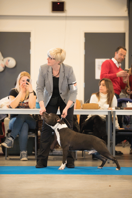 Bo4I0445 30519809414 O