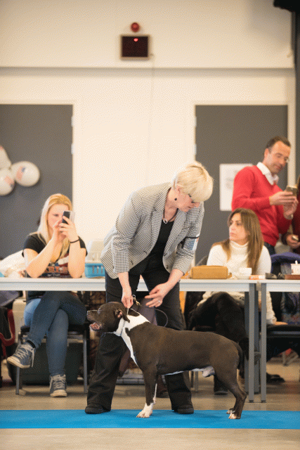 Bo4I0446 31342279545 O