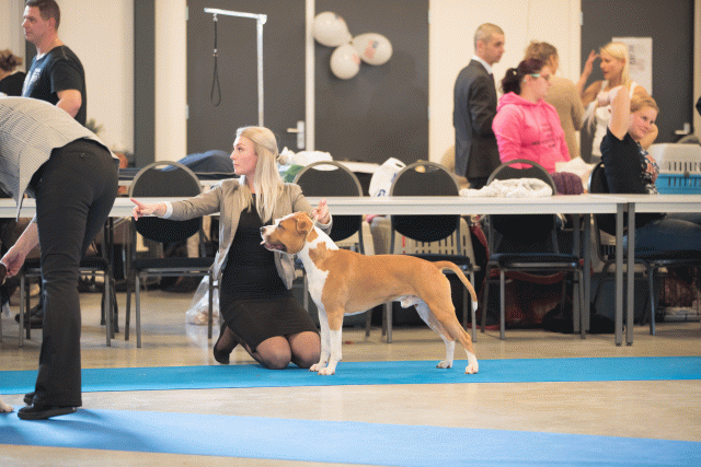 Bo4I0447 30534600513 O