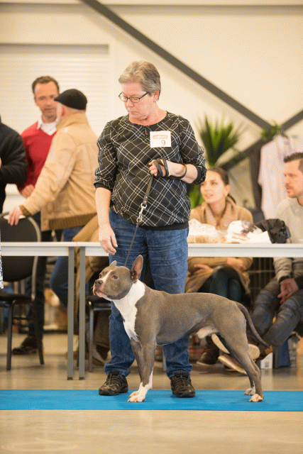 Bo4I0448 31342278815 O