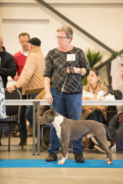 Bo4I0449 30534600843 O