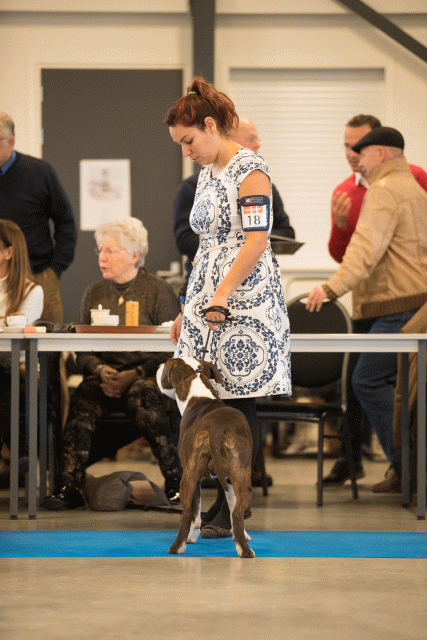 Bo4I0450 31342279315 O