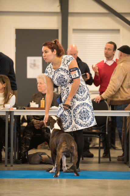 Bo4I0451 31227361361 O