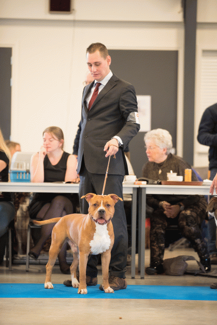 Bo4I0452 30519808044 O