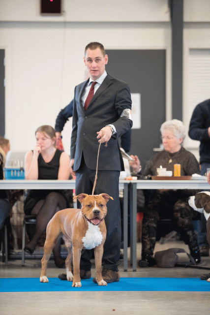 Bo4I0453 31227360931 O