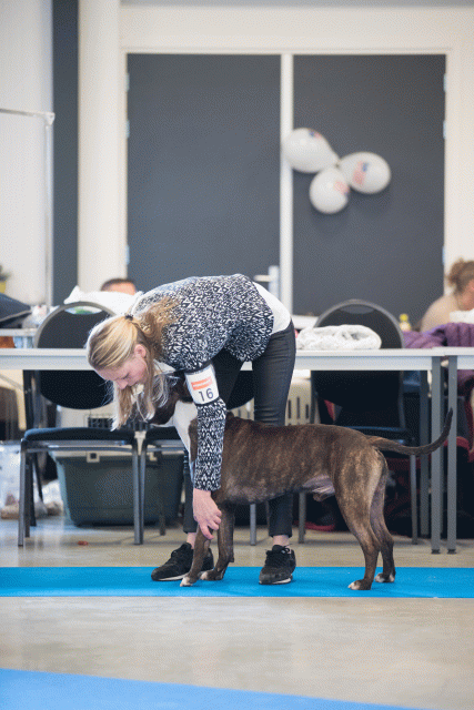 Bo4I0454 30519806654 O