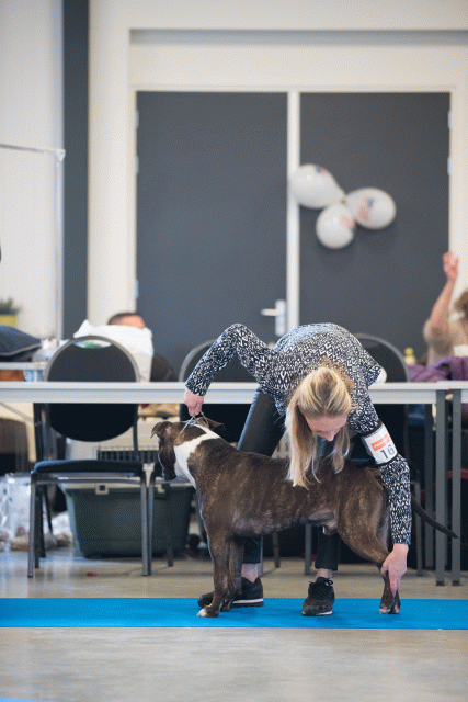 Bo4I0455 31227360471 O