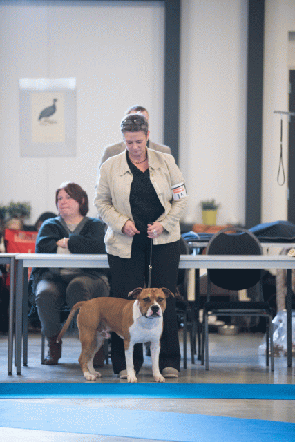 Bo4I0456 30519805874 O