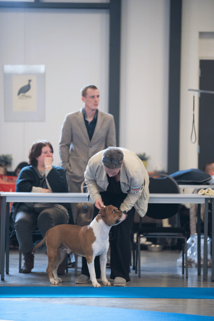 Bo4I0457 31227360051 O