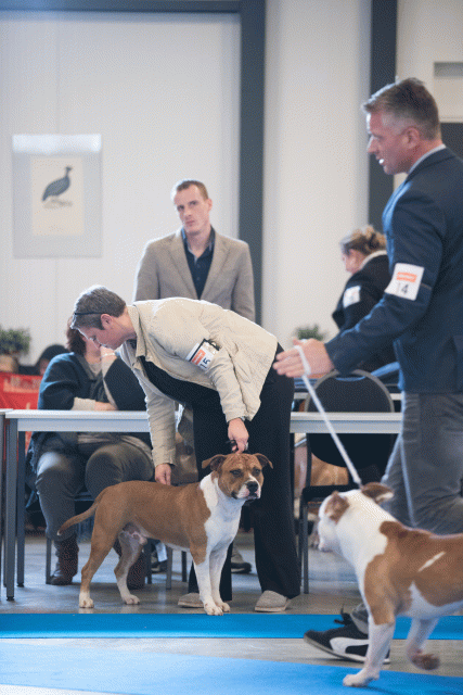 Bo4I0458 31342276215 O