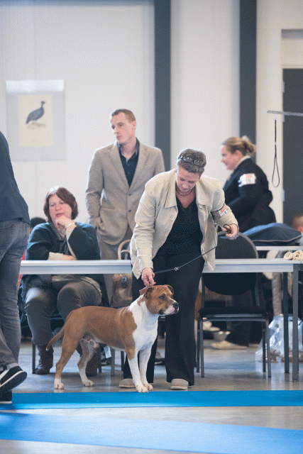 Bo4I0459 31227359501 O