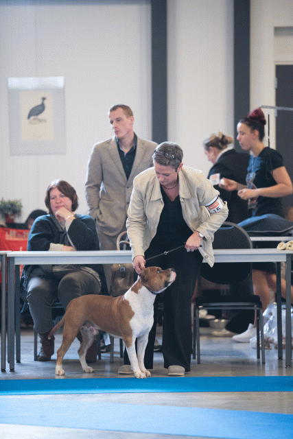 Bo4I0460 31306143306 O