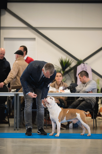 Bo4I0461 31227358911 O