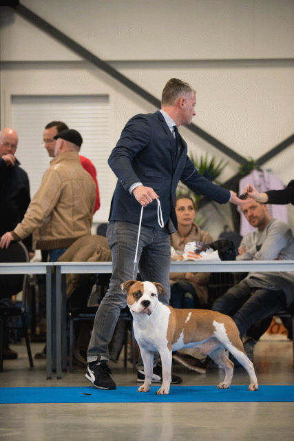 Bo4I0463 31227358511 O