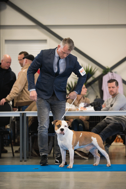 Bo4I0464 30519804134 O