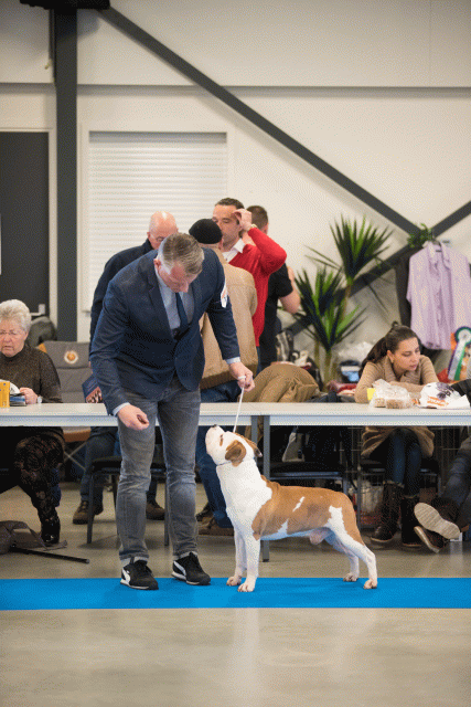 Bo4I0465 31227358101 O