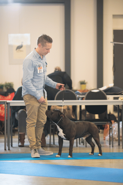 Bo4I0466 31342274765 O