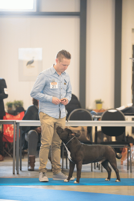 Bo4I0467 31227357691 O