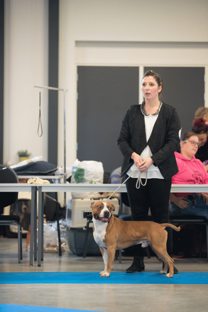 Bo4I0468 31342274435 O