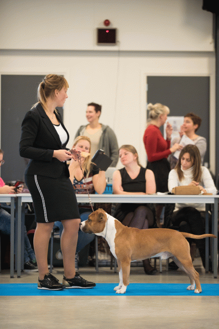 Bo4I0469 30519801194 O