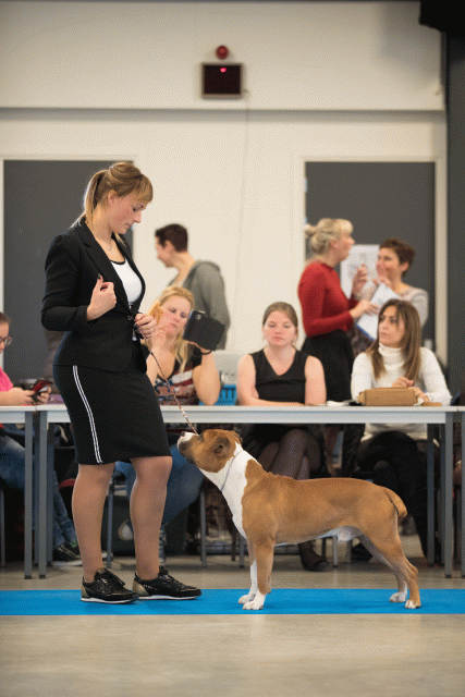 Bo4I0470 31227357221 O