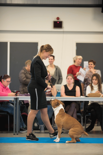 Bo4I0471 31342274085 O