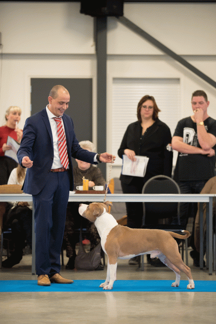 Bo4I0472 30519800354 O