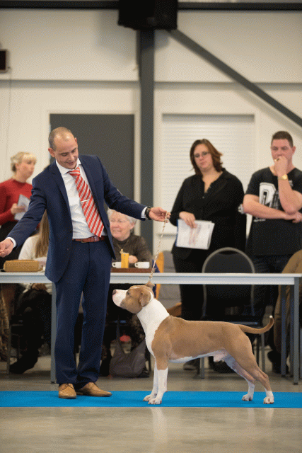 Bo4I0473 31306141426 O