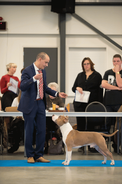 Bo4I0474 30519799784 O