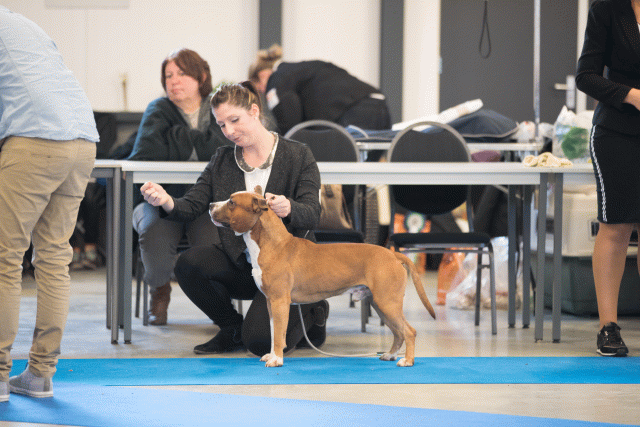 Bo4I0475 31227356781 O