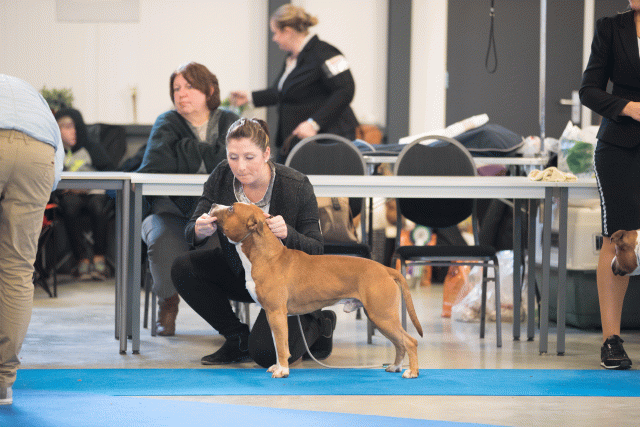 Bo4I0476 31227355811 O