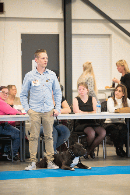 Bo4I0477 30534593153 O