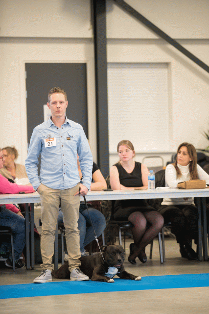 Bo4I0478 31227355311 O