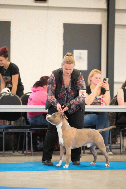 Bo4I0479 31306140706 O