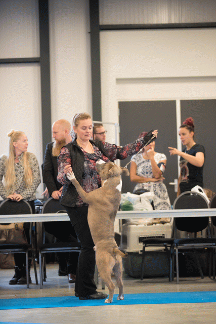 Bo4I0480 30973199120 O